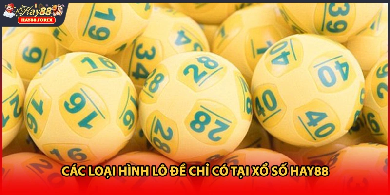 Các loại hình lô đề chỉ có tại xổ số HAY88