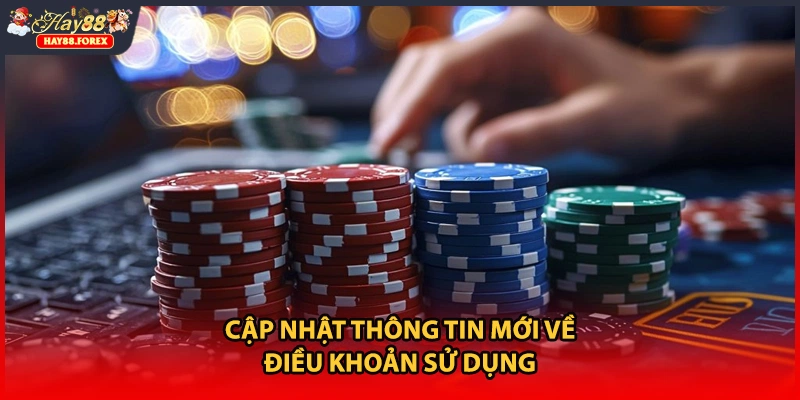 Cập nhật thông tin mới về điều khoản sử dụng 