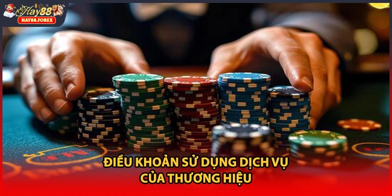 Điều khoản sử dụng dịch vụ của thương hiệu 