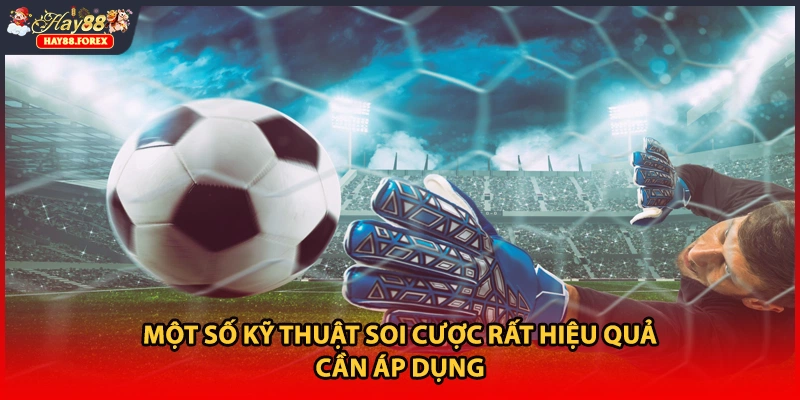 Một số kỹ thuật soi cược rất hiệu quả cần áp dụng
