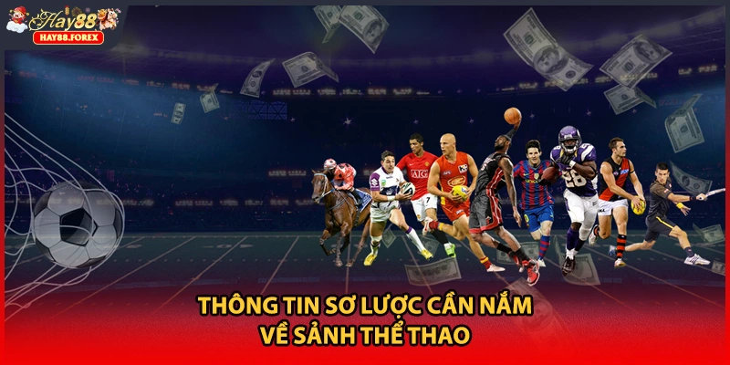 Thông tin sơ lược cần nắm về sảnh thể thao