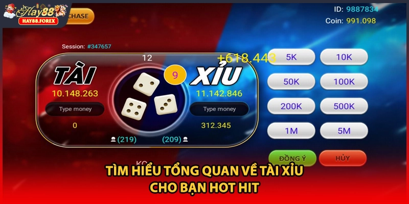 Tìm hiểu tổng quan về tài xỉu cho bạn hot hit
