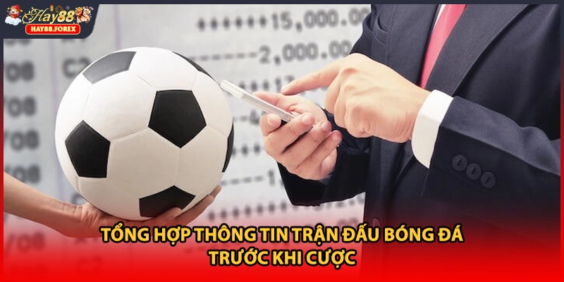 Tổng hợp thông tin trận đấu bóng đá trước khi cược