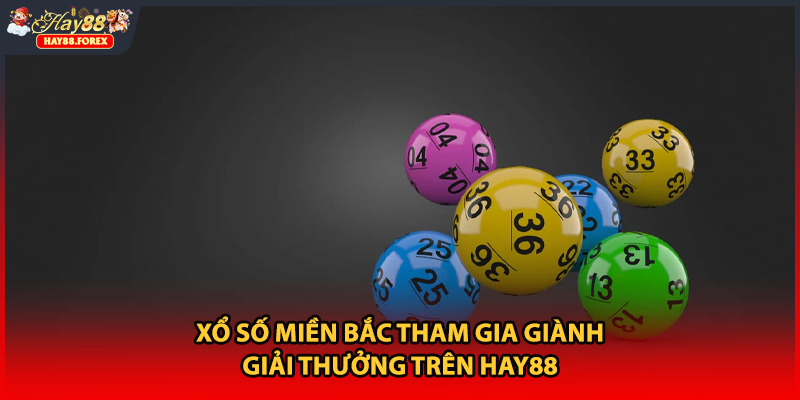 Xổ Số Miền Bắc Tham Gia Giành Giải Thưởng Trên HAY88